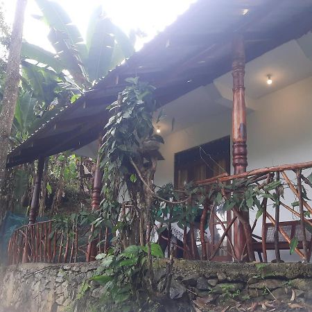 Dulmini Homestay エッラ エクステリア 写真