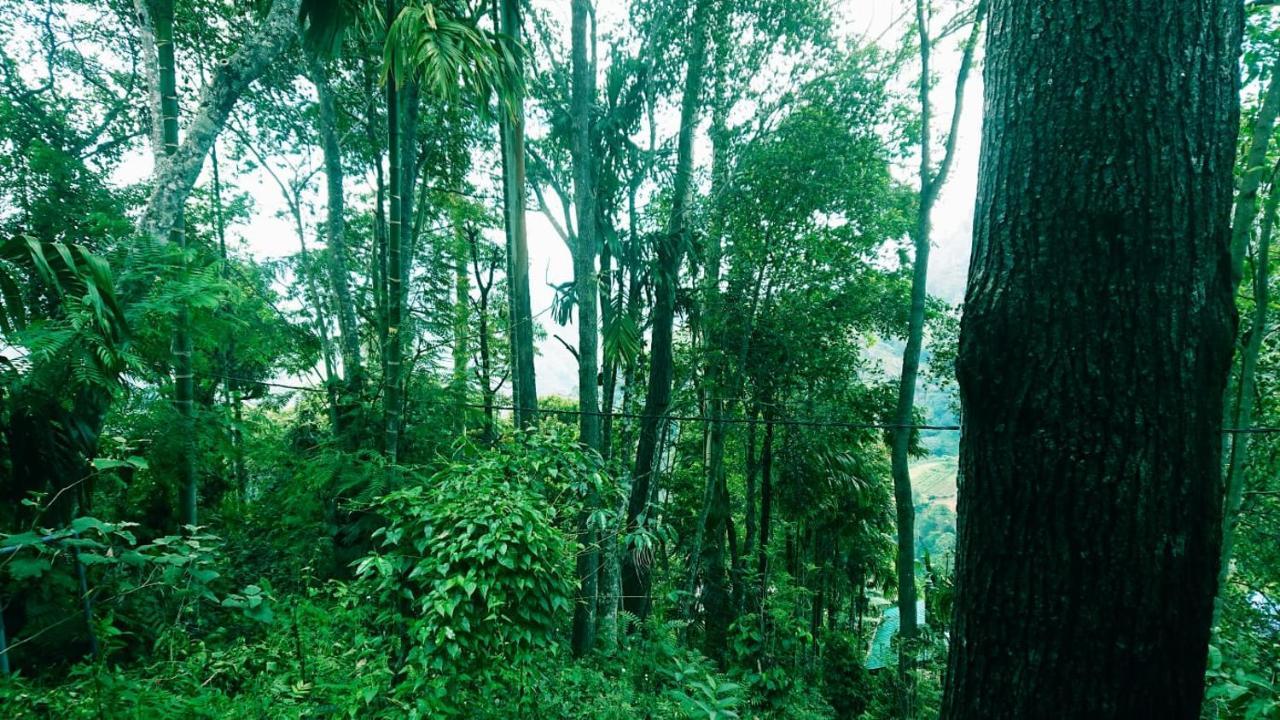 Dulmini Homestay エッラ エクステリア 写真