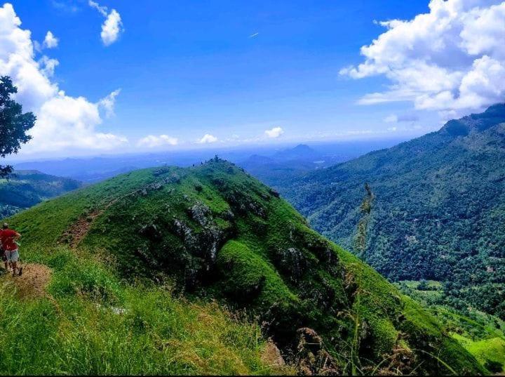 Dulmini Homestay エッラ エクステリア 写真
