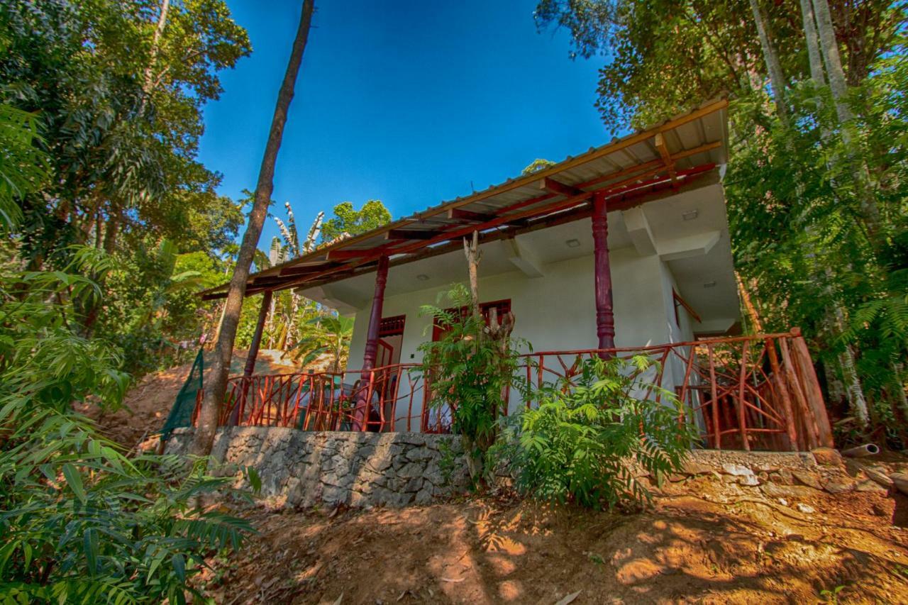 Dulmini Homestay エッラ エクステリア 写真