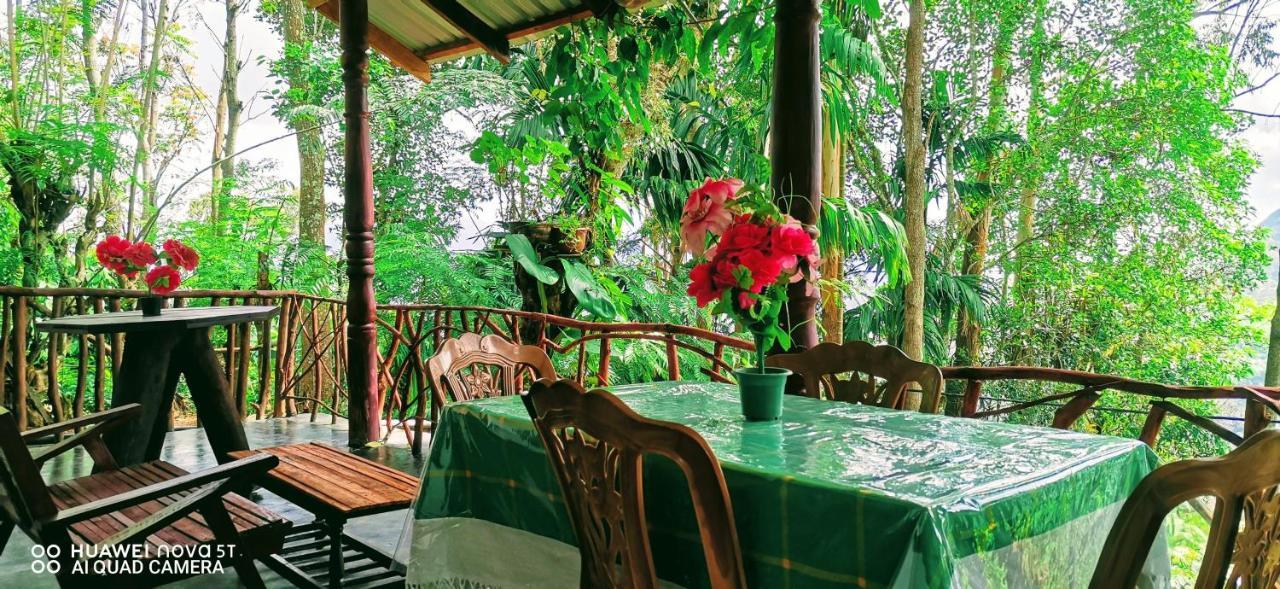 Dulmini Homestay エッラ エクステリア 写真